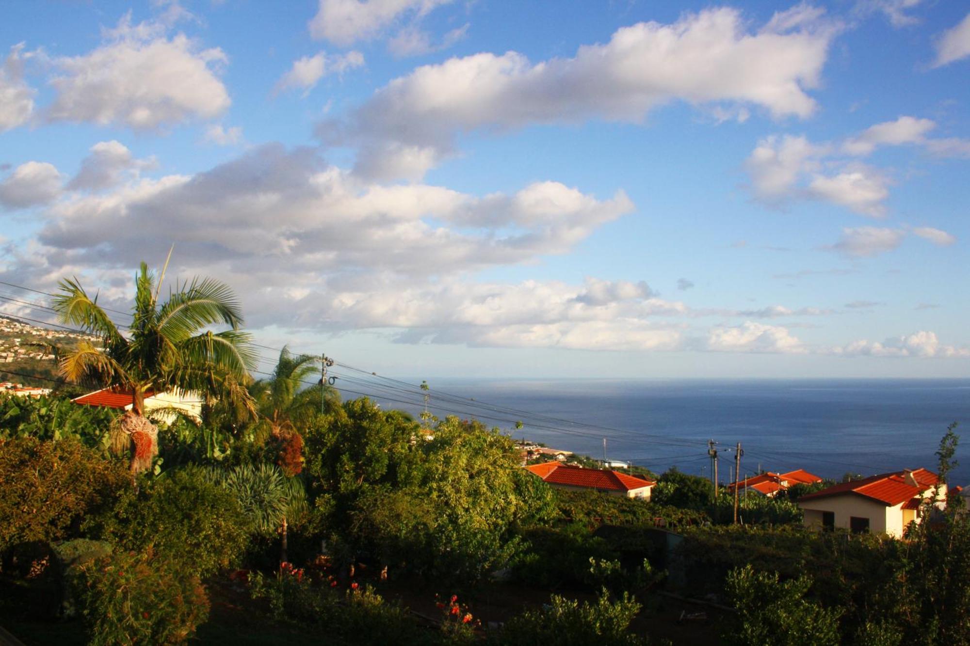 Апартаменты Lugar Dos Louros 2 Estreito Da Calheta Экстерьер фото
